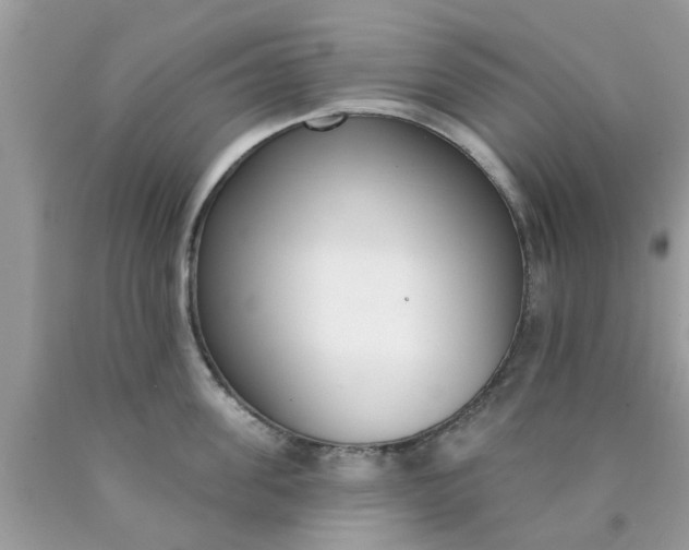 X0000090420955200707272108