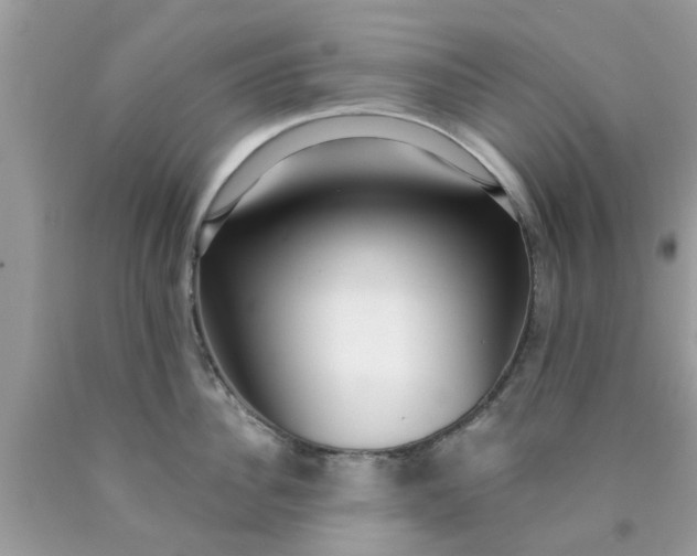 X0000090420956200707272108