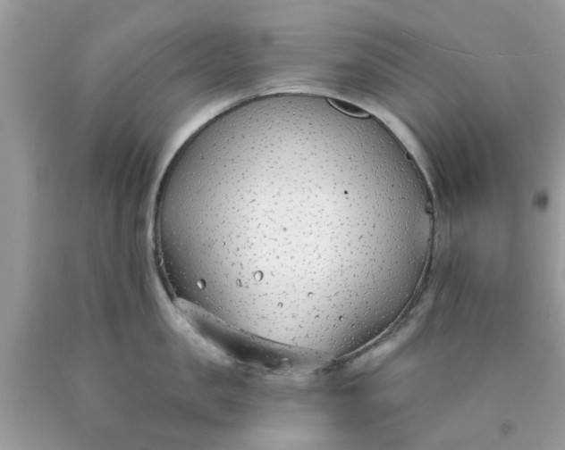 X0000090420957200707272108