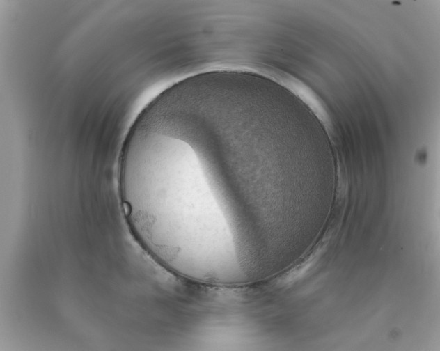 X0000090420958200707272108