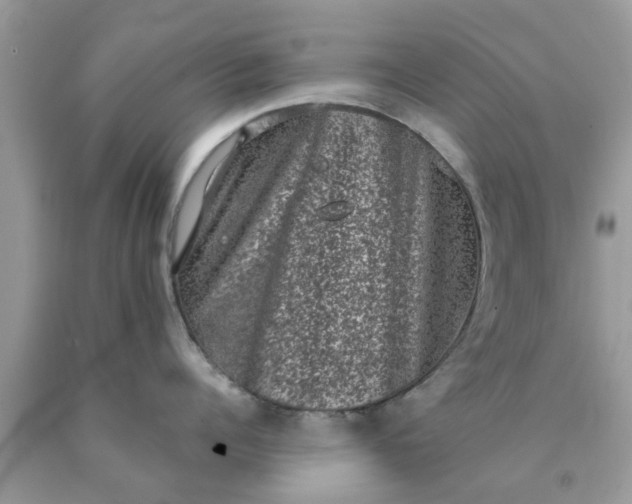 X0000090420960200707272108