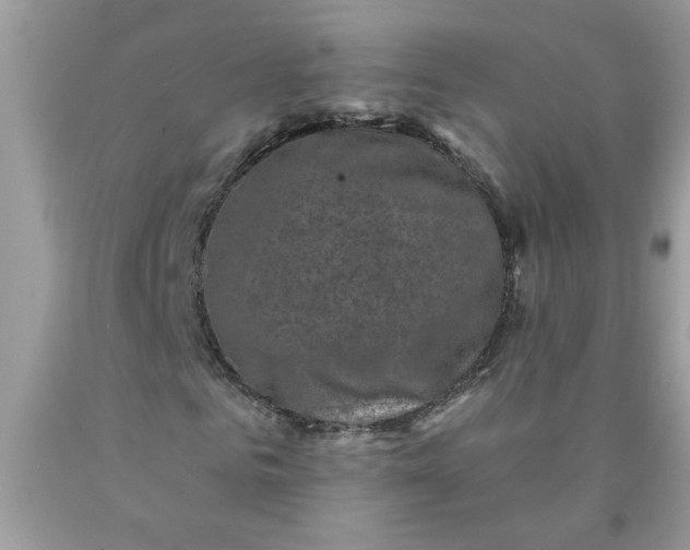 X0000090420961200707272107