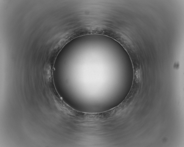 X0000090420963200707272107