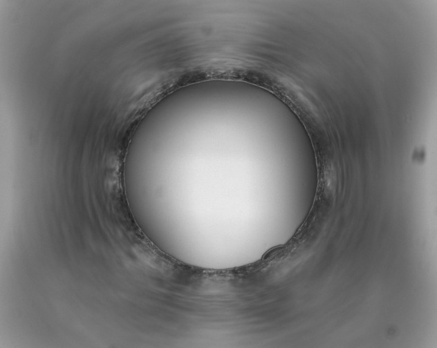 X0000090420964200707272107