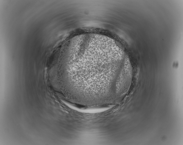 X0000090420965200707272107