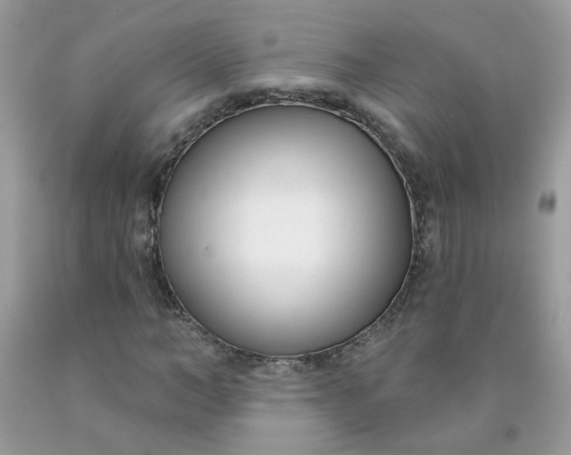 X0000090420966200707272107