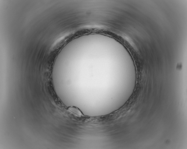 X0000090420967200707272107