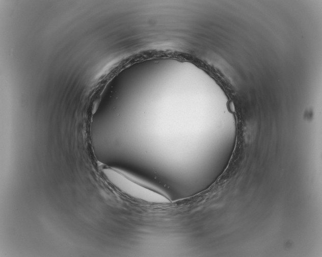 X0000090420968200707272107