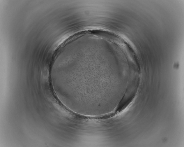 X0000090420969200707272107