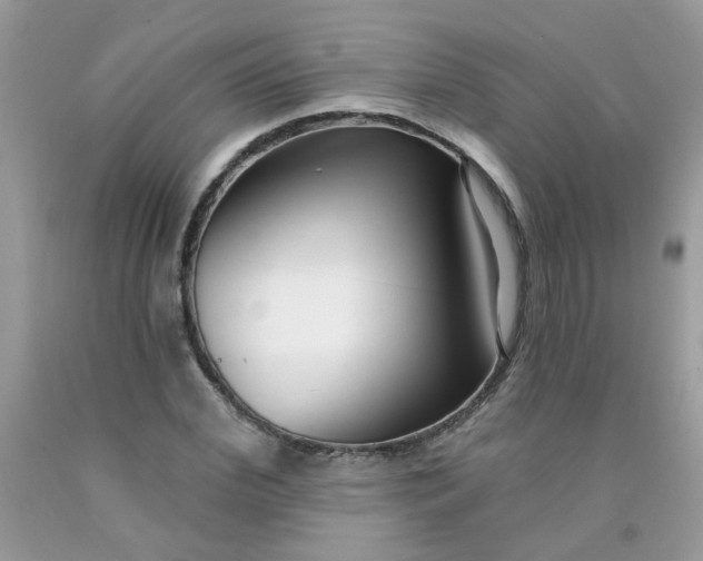 X0000090420972200707272107