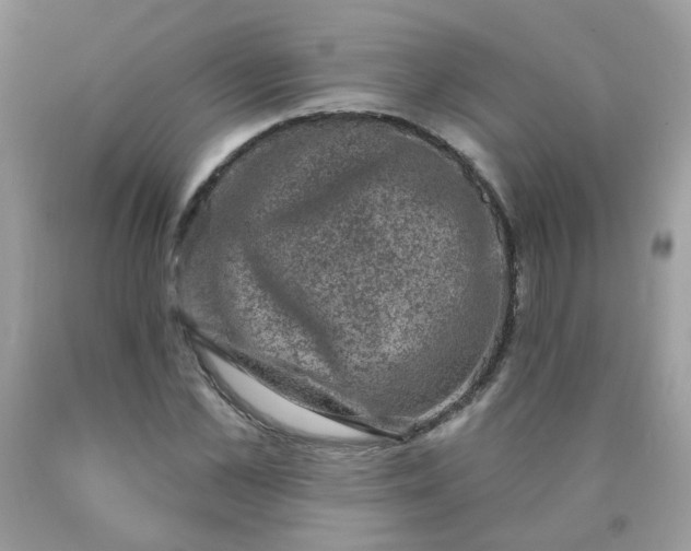 X0000090420973200707272107