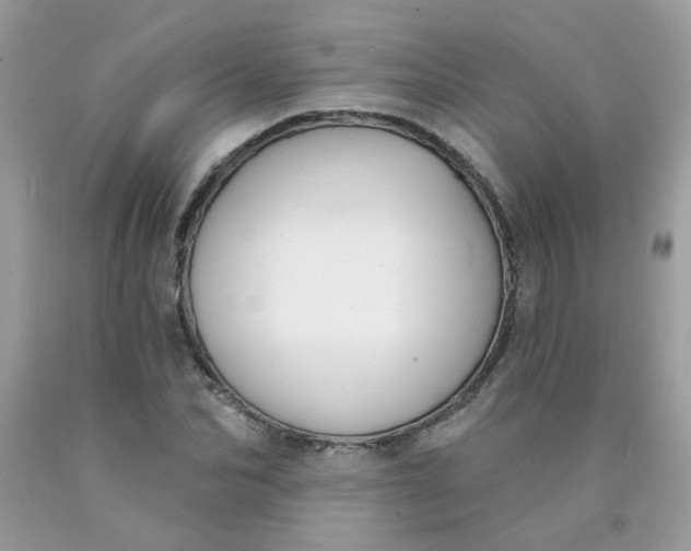 X0000090420974200707272107