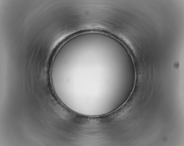 X0000090420975200707272107