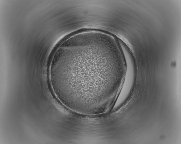 X0000090420976200707272107