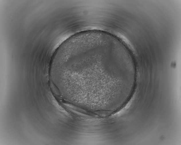 X0000090420977200707272107