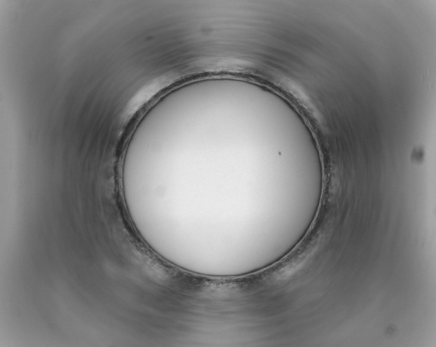 X0000090420978200707272107