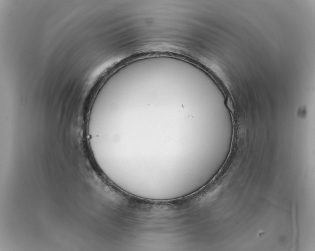 X0000090420979200707272107