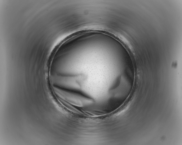 X0000090420981200707272107