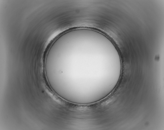 X0000090420982200707272107