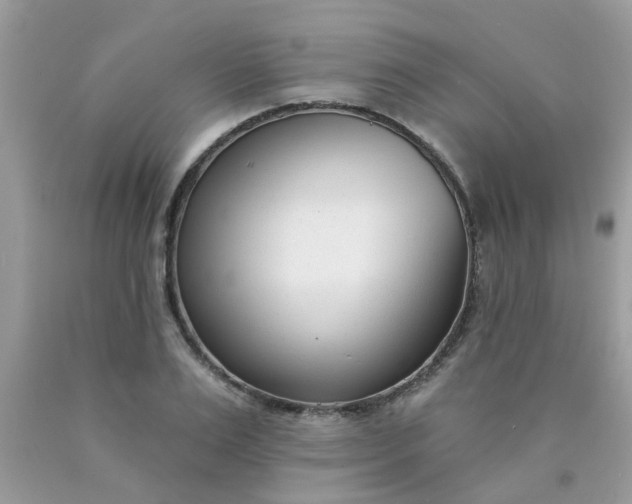 X0000090420983200707272107