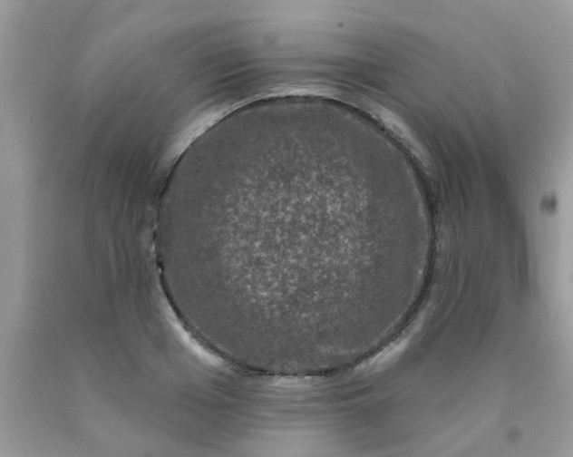 X0000090420985200707272107