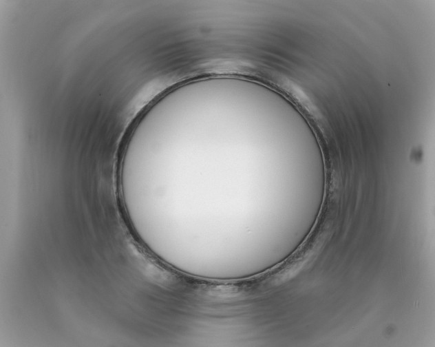 X0000090420986200707272107