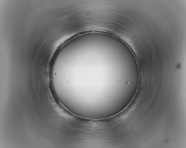 X0000090420987200707272107