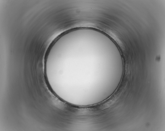 X0000090420988200707272107