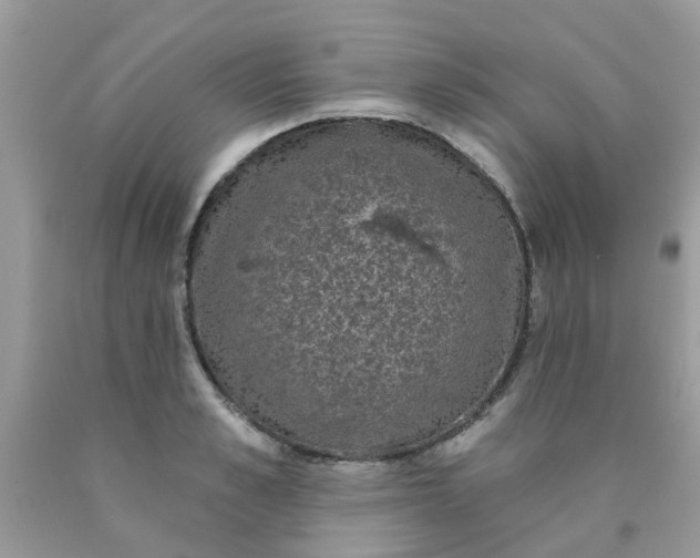 X0000090420989200707272107