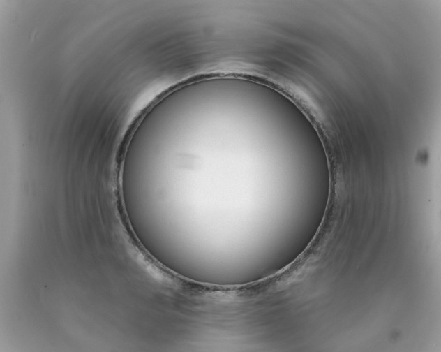 X0000090420990200707272107