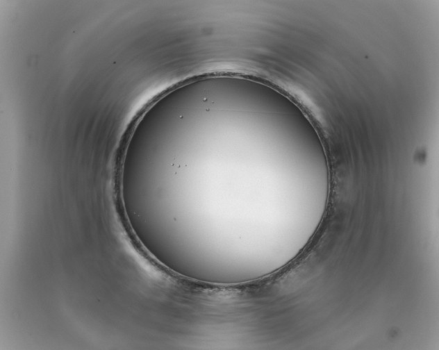 X0000090420991200707272107