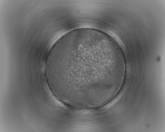 X0000090420993200707272107