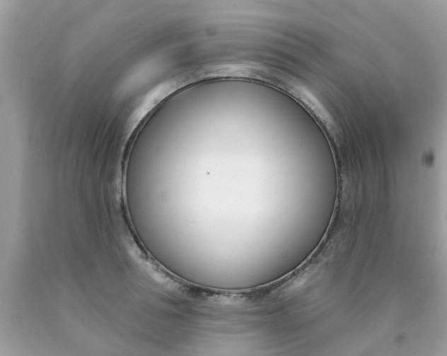 X0000090420994200707272107