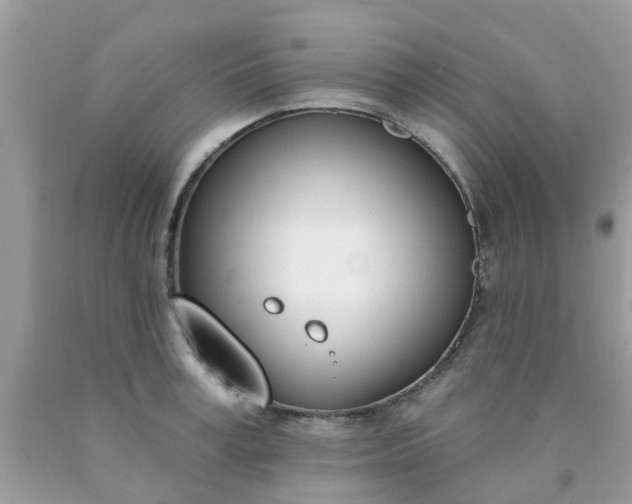 X0000090420995200707272107