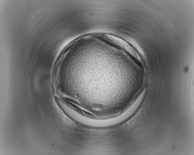 X0000090420996200707272107