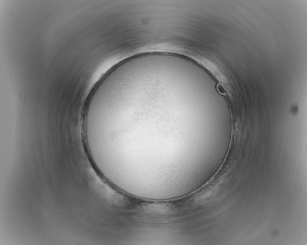 X0000090420998200707272106