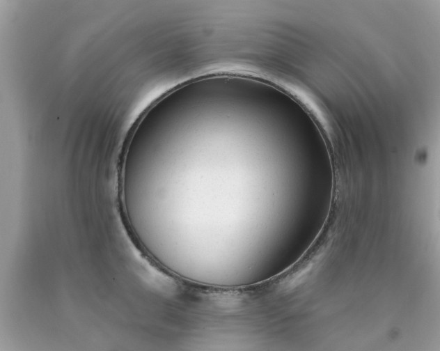 X0000090420999200707272106