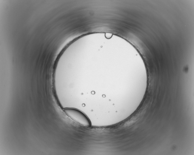 X0000090421000200707272106