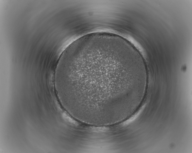 X0000090421001200707272106