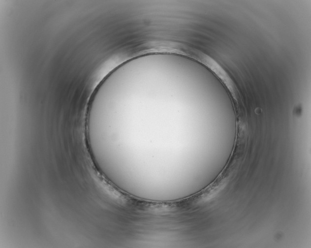 X0000090421002200707272106