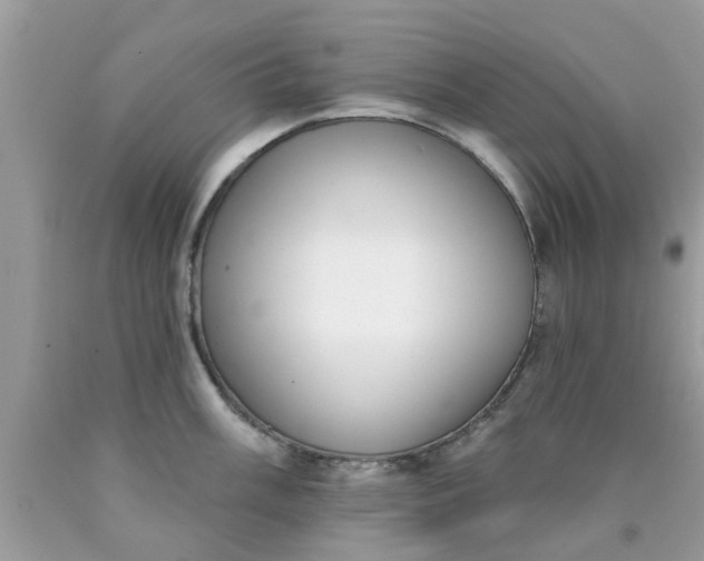 X0000090421003200707272106