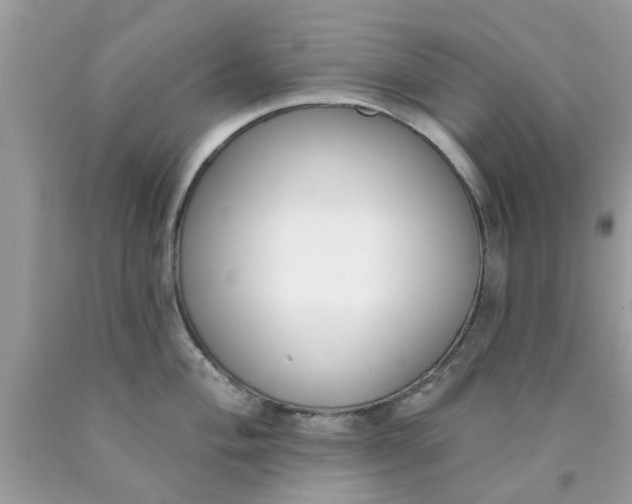 X0000090421004200707272106