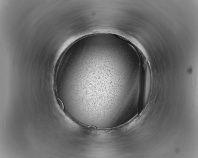 X0000090421005200707272106