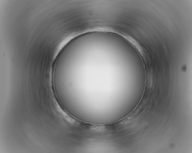 X0000090421006200707272106