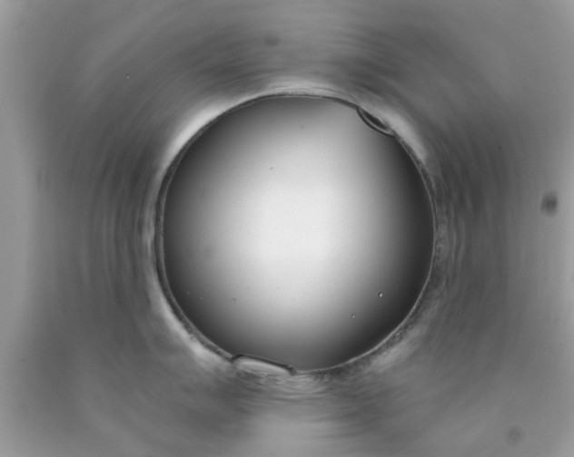 X0000090421007200707272106