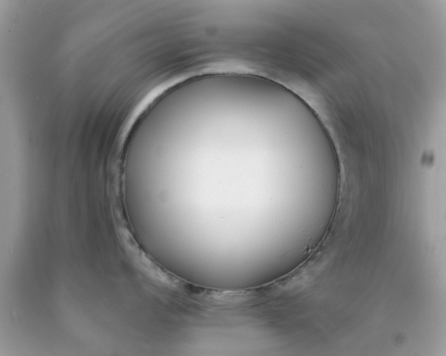 X0000090421008200707272106