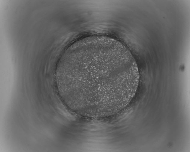 X0000090421009200707272106