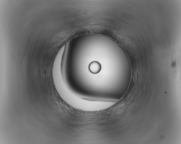 X0000090421010200707272106