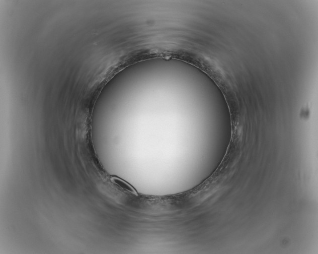 X0000090421012200707272106