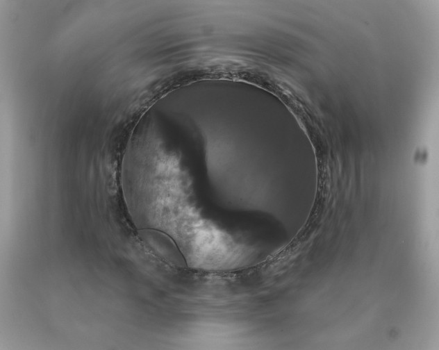 X0000090421013200707272106